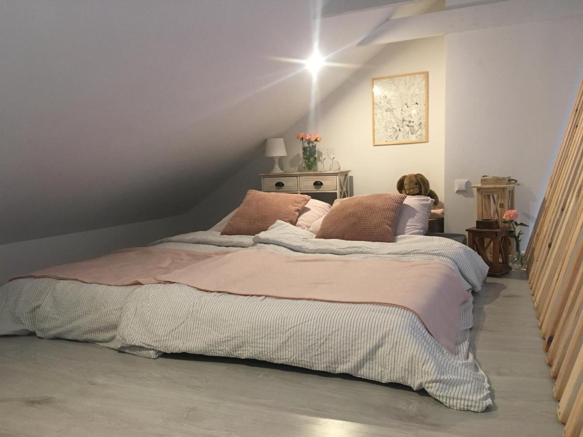 Apartament Z Antresola Okszow المظهر الخارجي الصورة