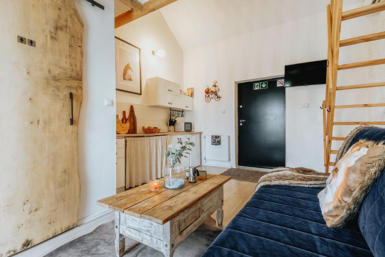 Apartament Z Antresola Okszow المظهر الخارجي الصورة